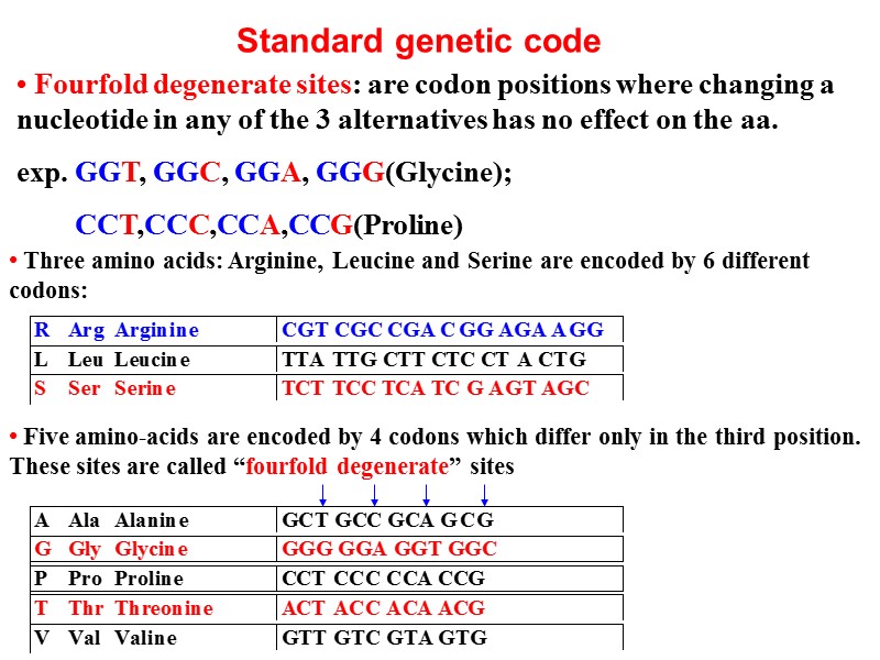 Standard genetic code • Three amino acids: Arginine, Leucine and Serine are encoded by